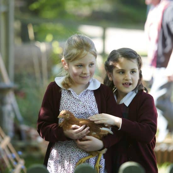 girls holding a chicken