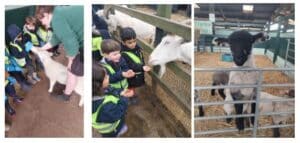 Aldenham Country Park visit